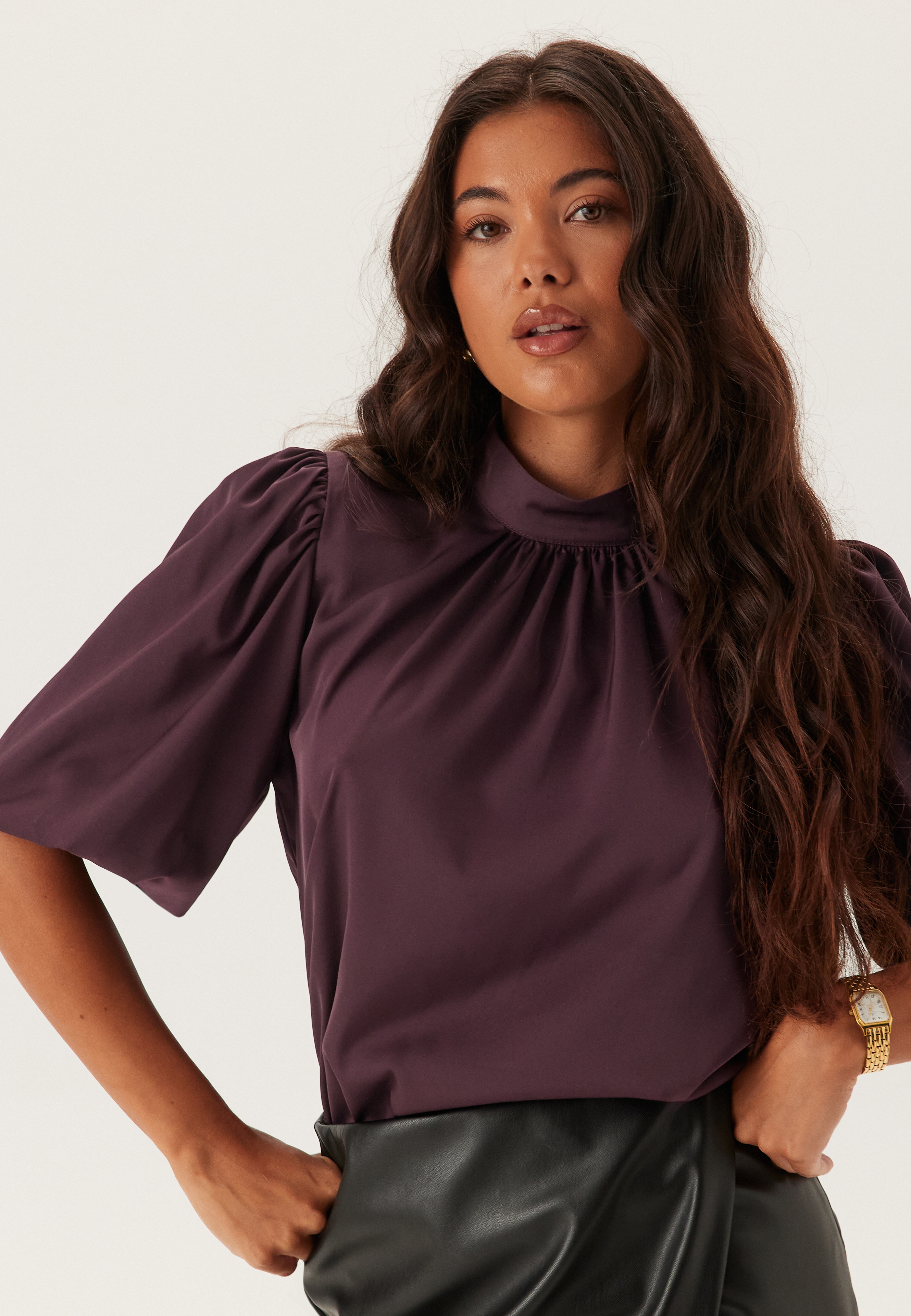 Chimney Collar Puff Sleeve Blouse 6