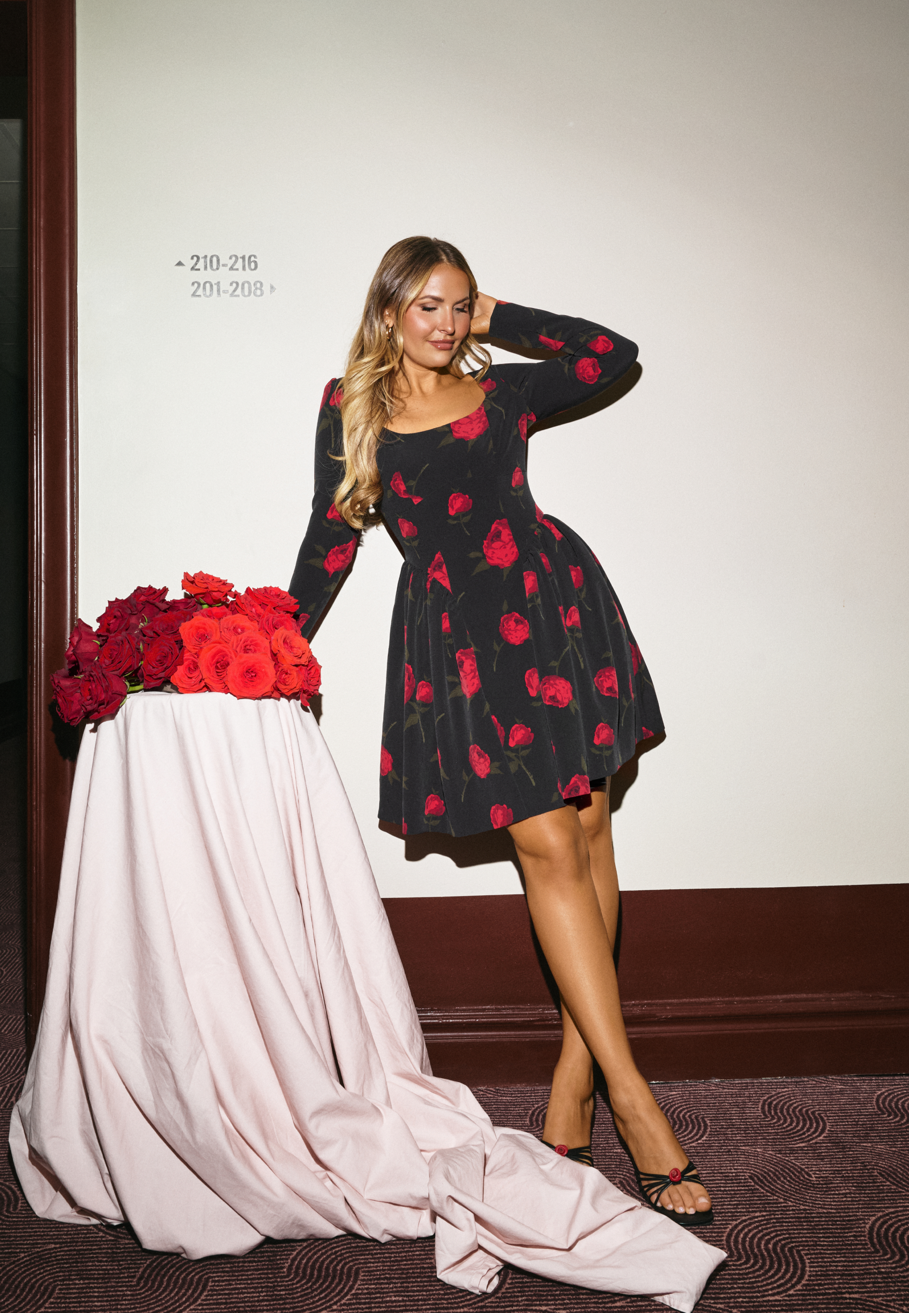 Volume Skirt Long Sleeve Mini Dress