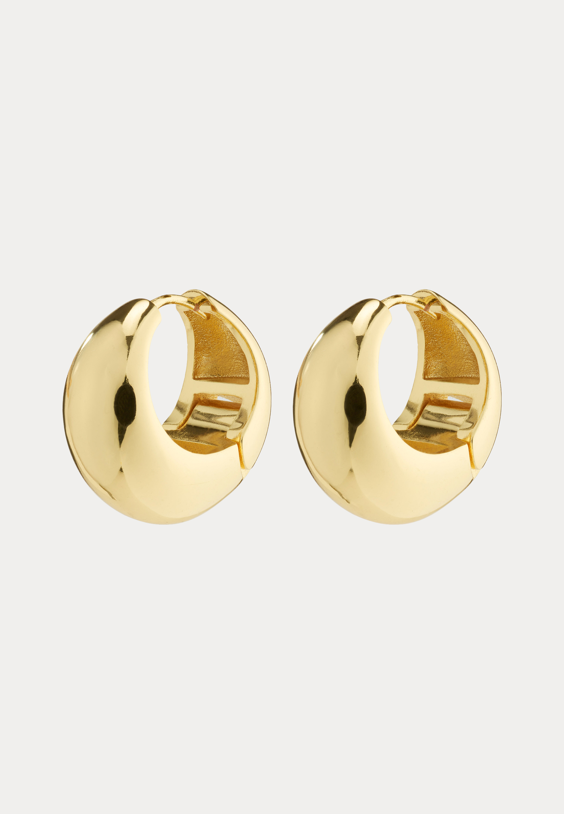 Alternativ bild 1 för Pilgrim Ionna Earrings 692432013 - Dam - Gold