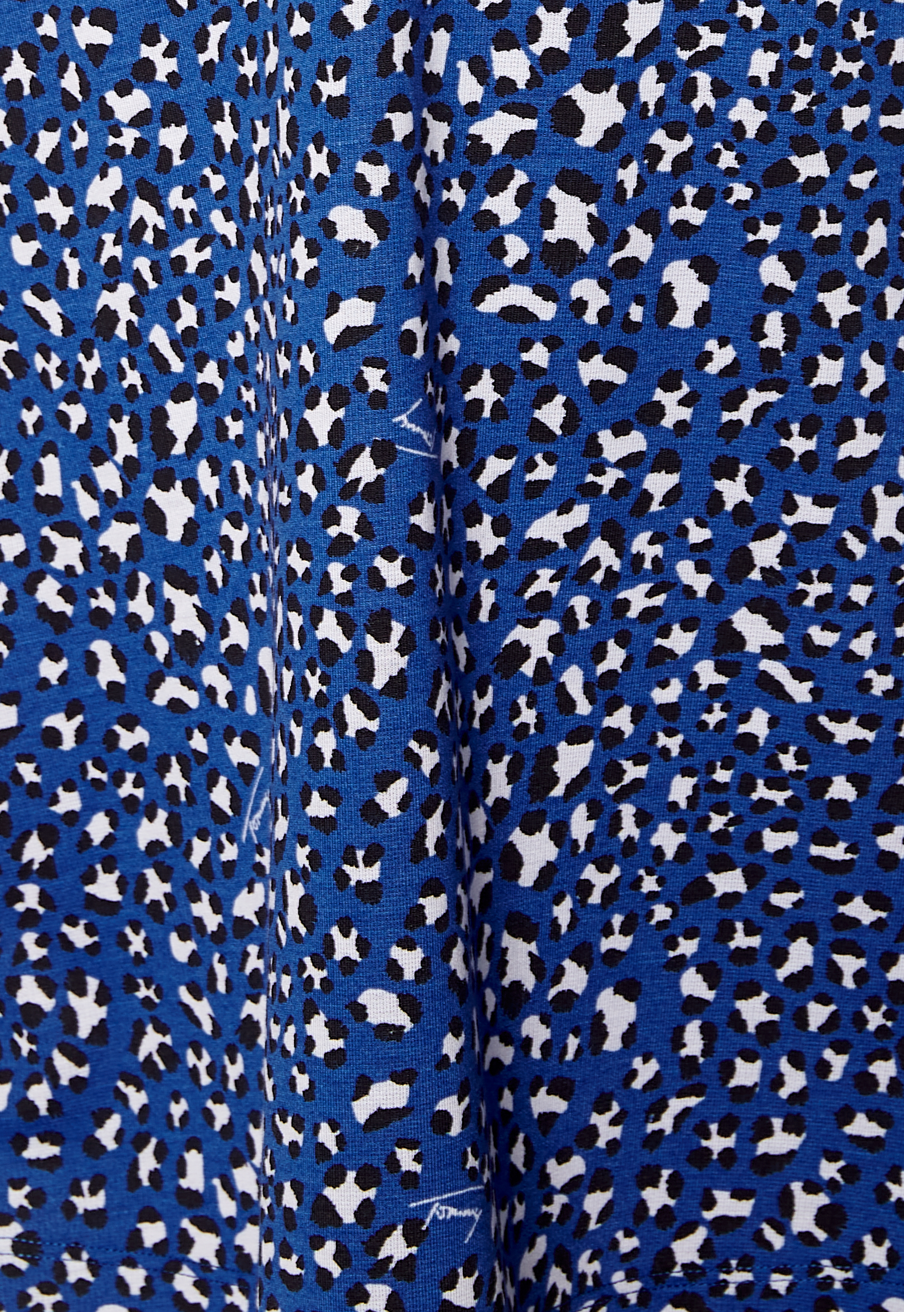 Fit Flare Leo Print Dress 3